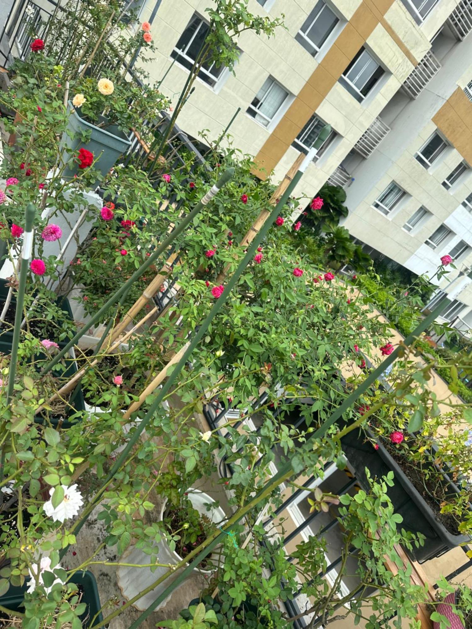Homey Apartment Ho Şi Min Exterior foto